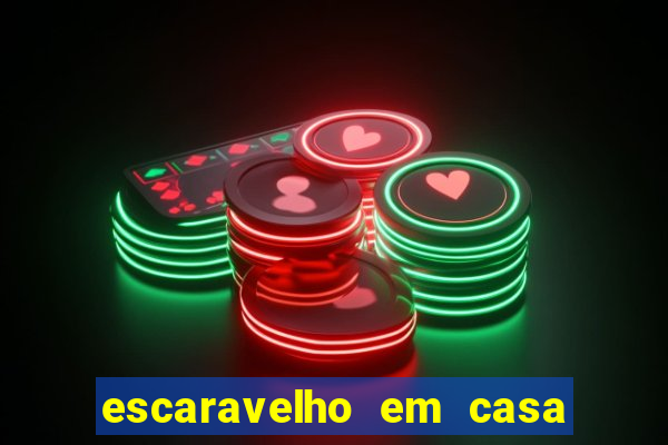 escaravelho em casa significado espiritual